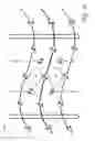 Fig. 15 - Flexible magnetic actuator