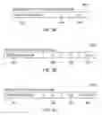 Fig. 07 - Compiler controls for program language constructs
