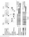 Fig. 07 - Snapshot isolation in graphical processing unit hardware transactional memory