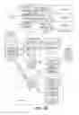 Fig. 06 - Consolidated processing of storage-array commands using a forwarder media agent in conjunction with a snapshot-control media agent