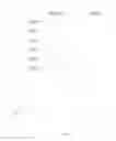 Fig. 08 - Adjusting search results based on overlapping work histories