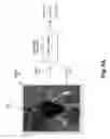 Fig. 11 - Object recognition based on hierarchical domain-based models