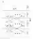 Fig. 02 - MACHINE LEARNING USING DYNAMIC MULTILAYER PERCEPTRONS