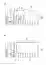Fig. 06 - SERVICE ARCHITECTURE FOR DYNAMIC BLOCK APPOINTMENT ORCHESTRATION AND DISPLAY