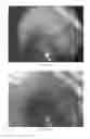 Fig. 06 - Color correction of preview images for plenoptic imaging systems