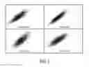 Fig. 06 - Method and device for estimating obsolute size dimensions of test object