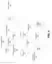 Fig. 06 - Using object re-identification in video surveillance