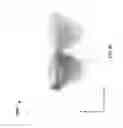 Fig. 21 - Rendering glasses shadows