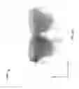 Fig. 23 - Rendering glasses shadows