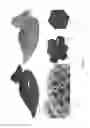 Fig. 06 - Systems and methods for additive manufacturing