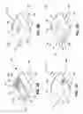 Fig. 04 - Wireless mesh network distributed vision traffic marker and method thereof