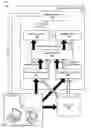 Fig. 01 - Speaker recognition