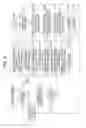 Fig. 06 - Coding device and method, decoding device and method, and program