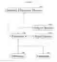 Fig. 02 - ENDPOINT DEVELOPMENT PROCESS