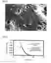 Fig. 03 - Porous carbon material for electric double-layer capacitor electrode, method of producing the same, and electric double-layer capacitor electrode
