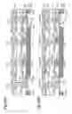 Fig. 22 - Wiring substrate