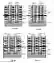Fig. 07 - 3D flash memory cells which discourage cross-cell electrical tunneling