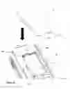 Fig. 07 - Removable flap for closing a location suited to receiving at least one battery of an electronic device and corresponding electronic device