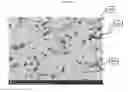 Fig. 03 - Lithium-stuffed garnet electrolytes with secondary phase inclusions