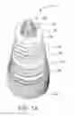 Fig. 02 - Method of manufacturing HVDC mass impregnated cable transition joint