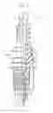 Fig. 02 - Spark plug