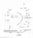 Fig. 06 - Simultaneous communication through multiple beams of a wireless node