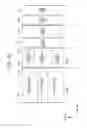 Fig. 53 - Transmitting method for transmitting an OFDM signal generated by performing an IFFT processing on a preamble and one or more subframes into which pilot signals are inserted