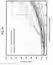 Fig. 19 - RECEIVER, TRANSMITTER, AND METHOD FOR ESTIMATING AVAILABLE BANDWIDTH