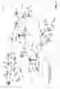 Fig. 02 - TRANSMISSION-ONLY MESH NODES