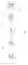 Fig. 02 - Un-password: risk aware end-to-end multi-factor authentication via dynamic pairing