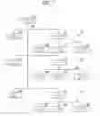 Fig. 02 - CONTENT DISTRIBUTION SERVER