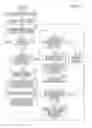 Fig. 13 - Image forming apparatus