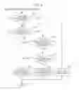 Fig. 06 - IMAGING APPARATUS, IMAGING METHOD, AND PROGRAM