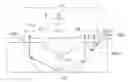 Fig. 01 - Light emitting control system