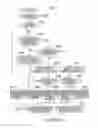 Fig. 06 - Encoding device, decoding device, and program