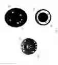 Fig. 06 - Interchangeable ear cushions for headphones