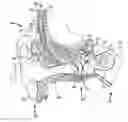 Fig. 01 - BONE CONDUCTION DEVICE FITTING