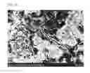 Fig. 08 - Ink composition for light sintering, wiring board using same and manufacturing method therefor
