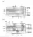 Fig. 02 - Composite substrate and method for manufacturing composite substrate