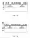 Fig. 04 - Piezochromic stamp