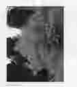 Fig. 02 - Cotinus Plant Named 'MINCOJAU3'