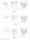 Fig. 02 - Array of disposable absorbent articles having a sequence of graphics corresponding to a wearer's stages of development