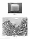 Fig. 08 - Polymer implants for treatment of metabolic disorders