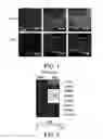 Fig. 02 - Compositions and methods for treating allergic inflammatory conditions