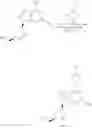 Fig. 29 - ANTIVIRAL 4-(2-AMINO-6-HETEROCYLYL-9H-PURIN-9-YL)-2-CYCLOPENTENE-1 -METHANOL COMPOUNDS