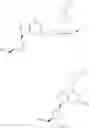 Fig. 30 - ANTIVIRAL 4-(2-AMINO-6-HETEROCYLYL-9H-PURIN-9-YL)-2-CYCLOPENTENE-1 -METHANOL COMPOUNDS
