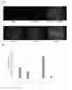 Fig. 02 - Nucleic acid products and methods of administration thereof