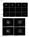 Fig. 06 - Nucleic acid products and methods of administration thereof