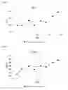 Fig. 37 - Nucleic acid products and methods of administration thereof