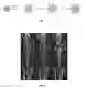 Fig. 02 - Compositions and methods for treatment and imaging using nanoparticles